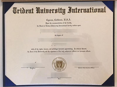 Obtain a fake Trident University International degree for a job.获得一份假的三叉戟大学国际学位。