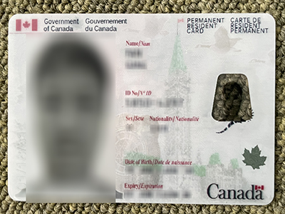 How much is a fake Canadian ID card online? 网上假的加拿大身份证多少钱？