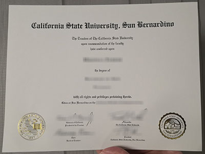 How much is a fake CSUSB degree worth?一个假的 CSUSB 学位的价值是多少？