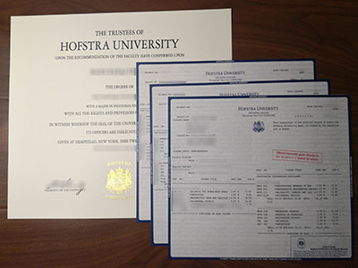 Why so many people buy a fake Hofstra University degree and transcript? 为什么这么多人购买假的霍夫斯特拉大学学位和成绩单？