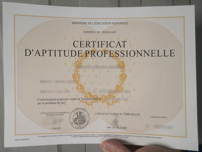 How much does a phony CAP esthétique certificate in France?假冒的法国 CAP esthétique 证书多少钱？