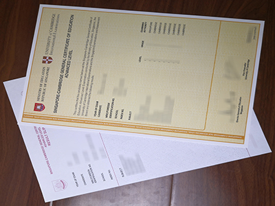 How much does to obtain a fake Singapore Cambridge GCE O Level Certificate? 获得伪造的新加坡剑桥 GCE O Level 证书需要多少钱？