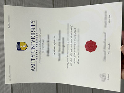 How much does to order a fake Amity University Noida degree of the latest version? 要多少钱才能买到最新版本的假诺伊达大学学位?