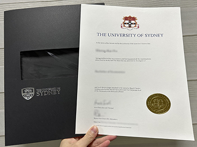 How much does to buy a fake University of Sydney degree with a nice cover online? 在网上买一个有漂亮封面的假悉尼大学学位要多少钱?