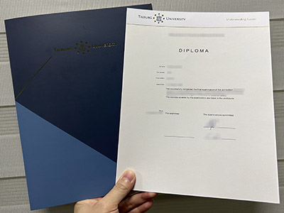 How to obtain a 100% copy Tilburg University degree certificate with a nice case? 如何获得封面精美的蒂尔堡大学学位证书 100% 复印件？