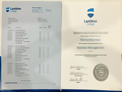 How to order a fake Lambton College diploma and transcript online? 如何在线订购假的莱姆顿学院文凭和成绩单？