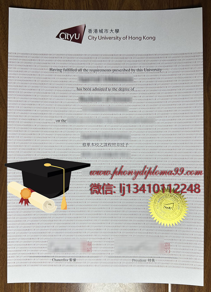 City University of Hong Kong degree