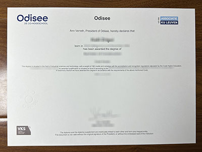 How much does to order a fake Odisee hogeschool degree in Netherlands? 在荷兰订购假的 Odisee hogeschool 学位要多少钱？